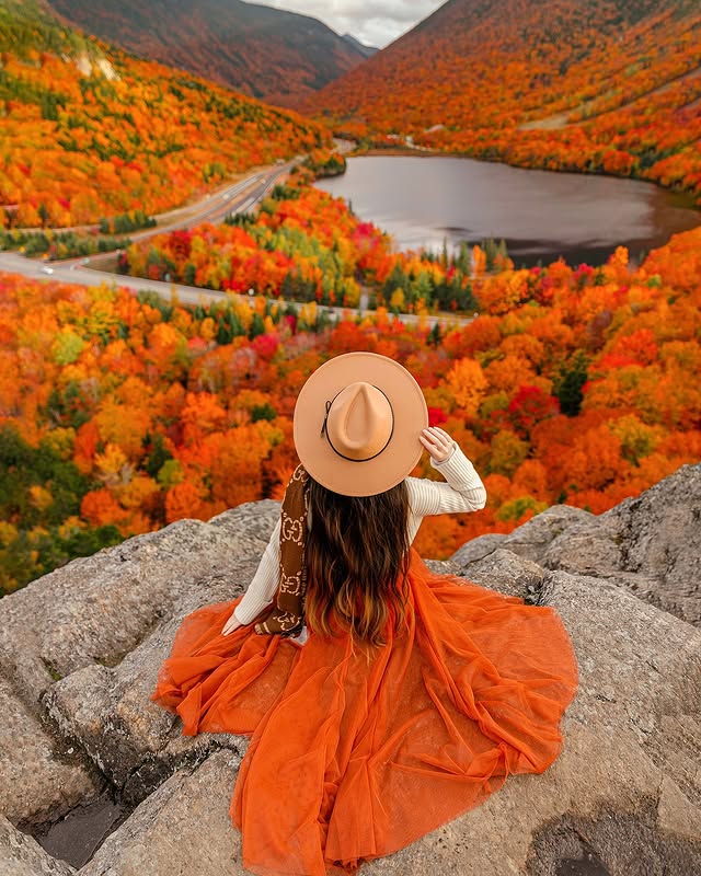 Artist's Bluff: Instagram photo